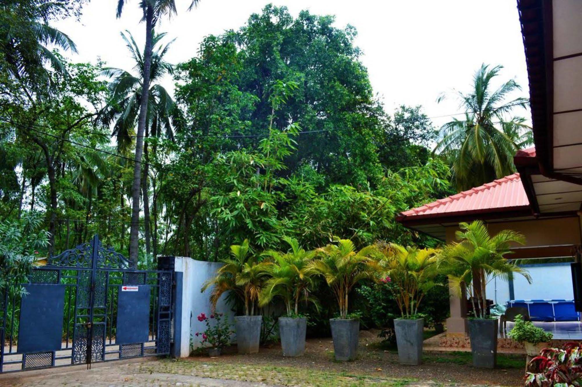 Dambulla City Hostel Экстерьер фото