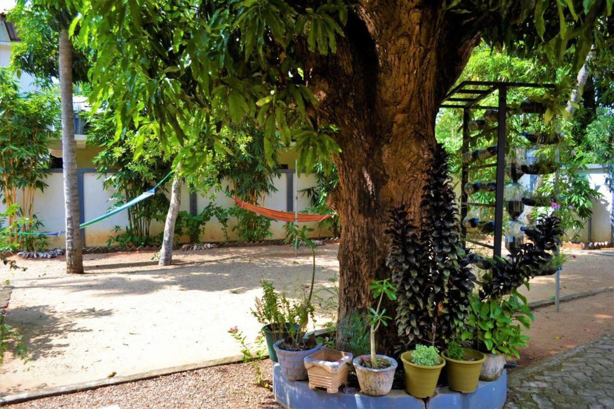 Dambulla City Hostel Экстерьер фото